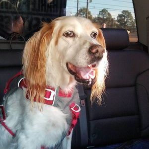 Meet your Posher, Jenny